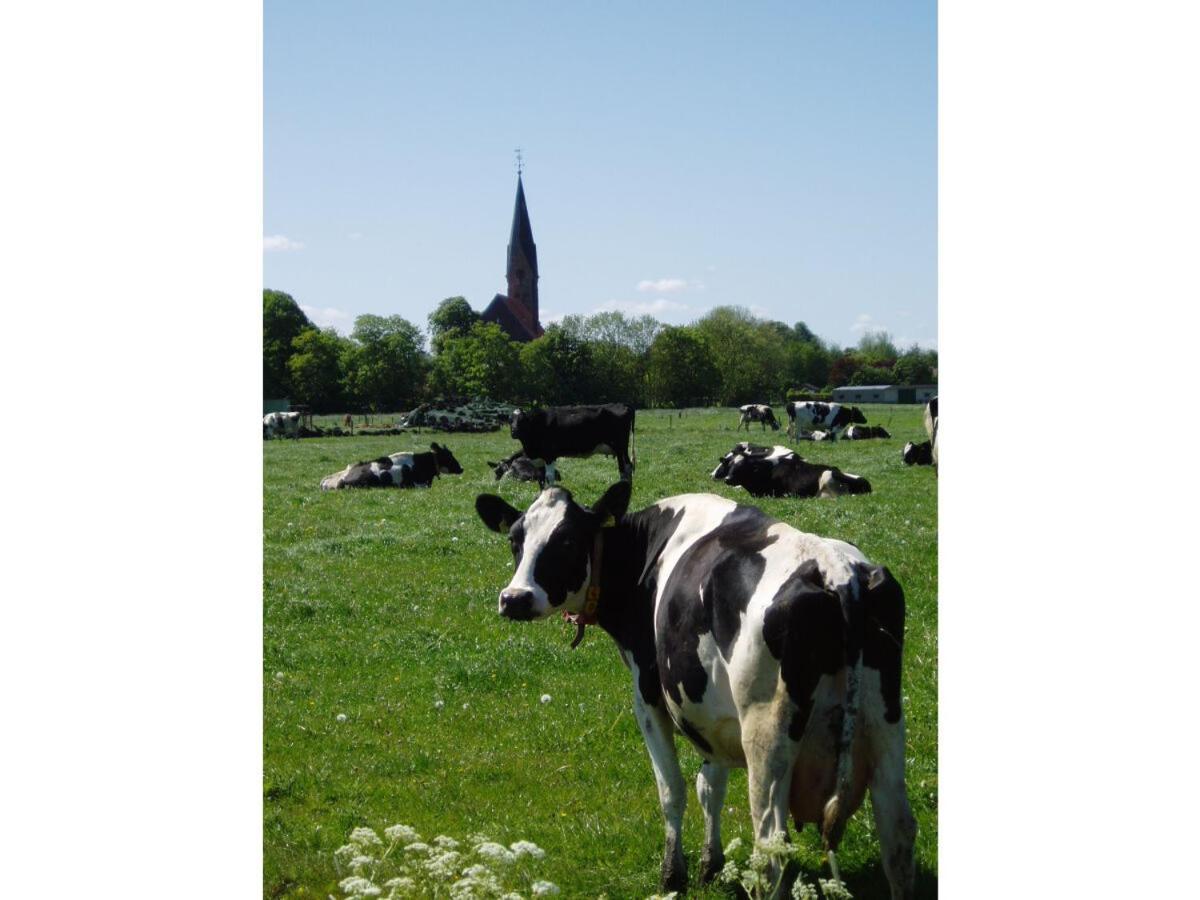 Ferienwohnung Hein Am Nordseedeich Butjadingen Esterno foto
