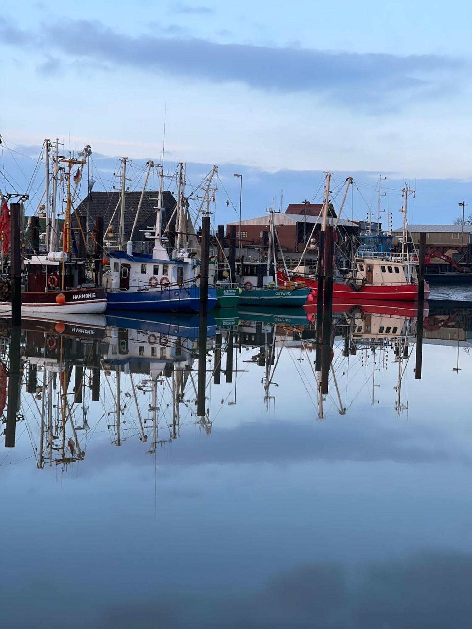 Ferienwohnung Hein Am Nordseedeich Butjadingen Esterno foto