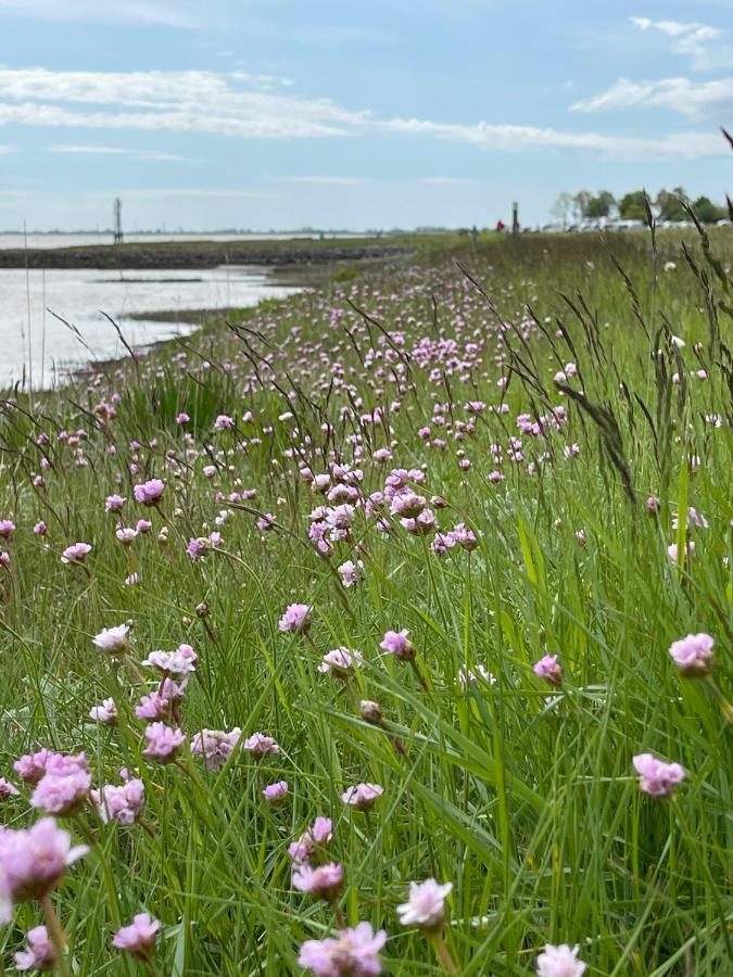 Ferienwohnung Hein Am Nordseedeich Butjadingen Esterno foto